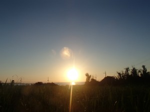 P7290025