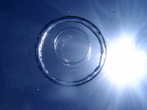 P7319770