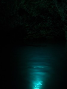 P7319851