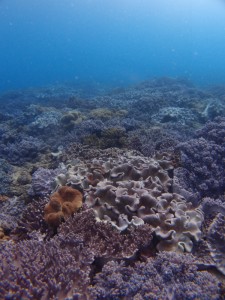 P8020104