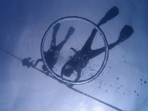 P8080689