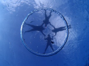 P8211699