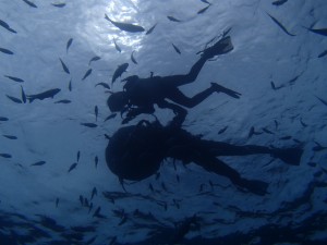 P8260035