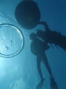 P8260052