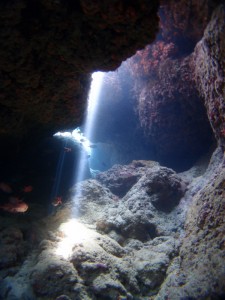 P9012423