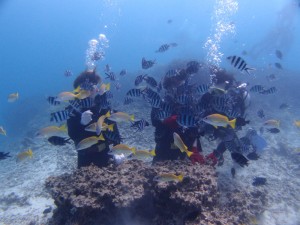P9093455