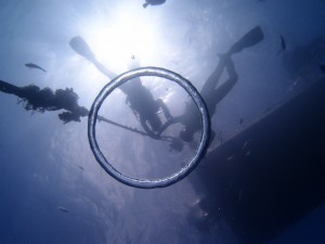 P9123828