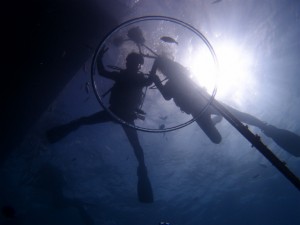 P9123830