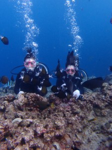 P9295359