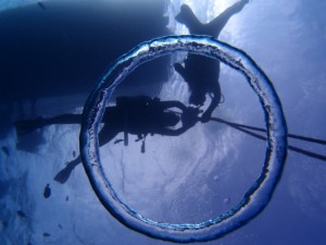 PB018396