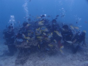 PB018418