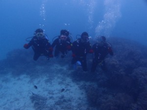 PB018429