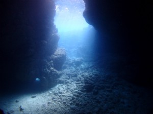 PB028489