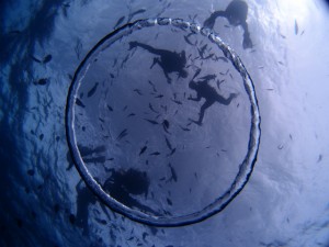 PB048719