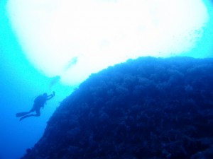 PB058738