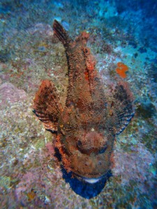 PB058892