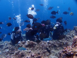 PB099290