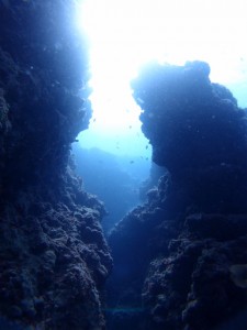 PB139627