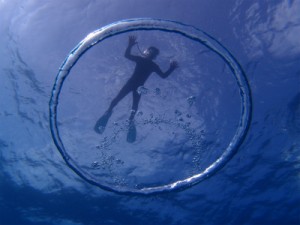 P1011136
