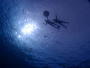 P1101515