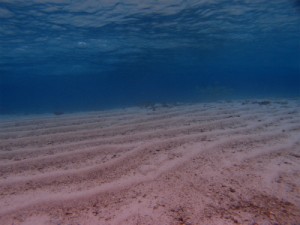 P1131723