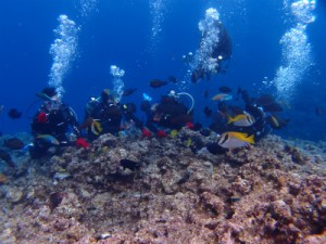 P1151797