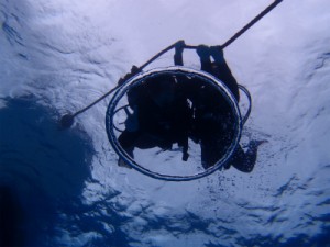 P2032309