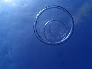 P2042366