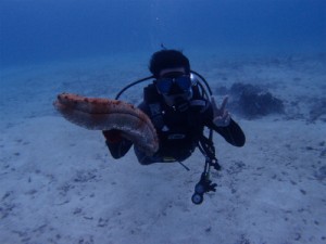 P2052435