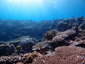 P2132647