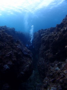 P2192910