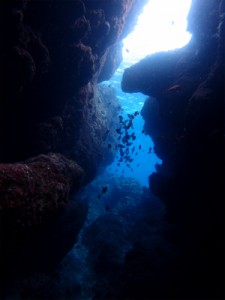 P2192952