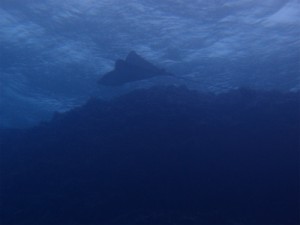 P2192971