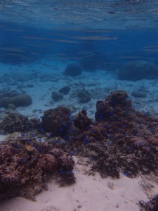 P2243280
