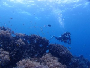 P2263404
