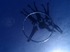 P3083919