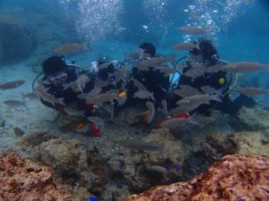 P3104088