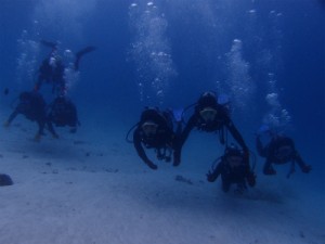 P3154180