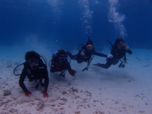 P3154221