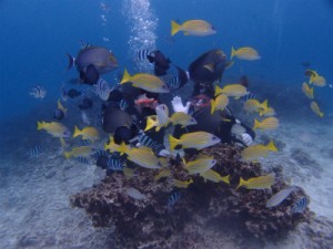 P3201252