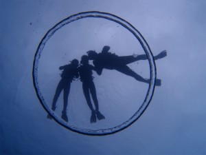 P4011742