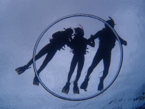 P4011746