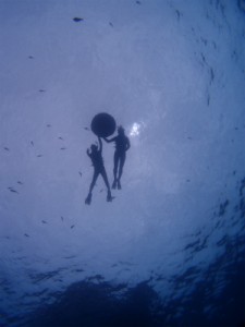 P4162338