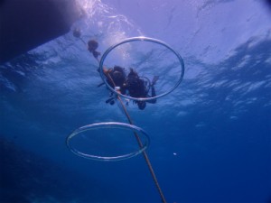 P4202504