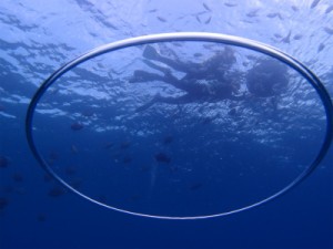 P4222645