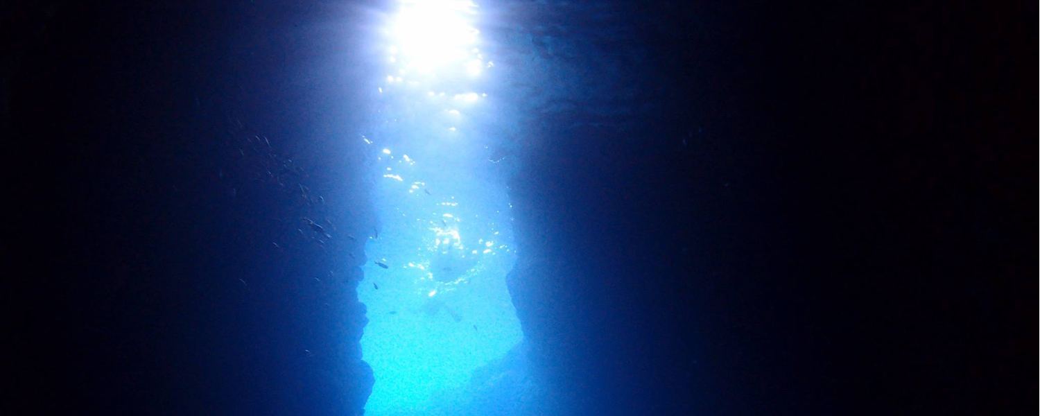 青の洞窟 サンゴ熱帯魚 体験ダイビング